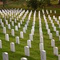 Arlington National Cemetary